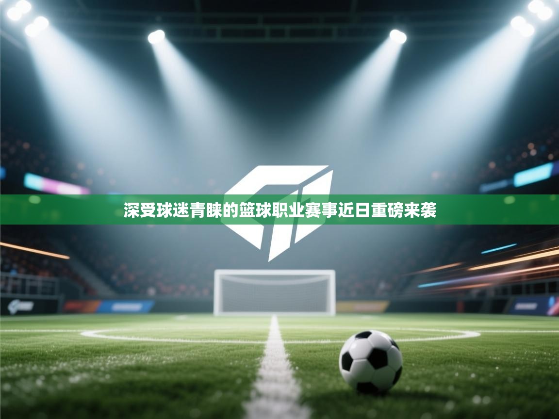 深受球迷青睐的篮球职业赛事近日重磅来袭