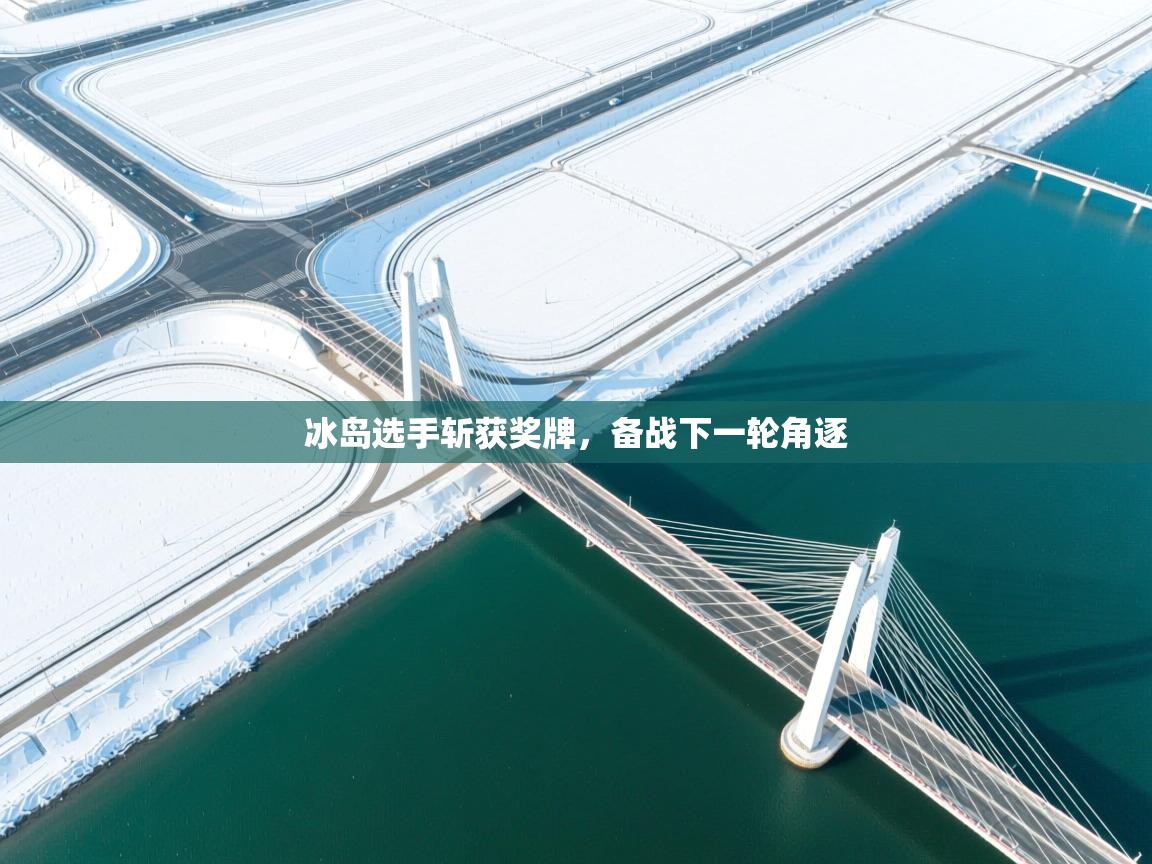 冰岛选手斩获奖牌，备战下一轮角逐